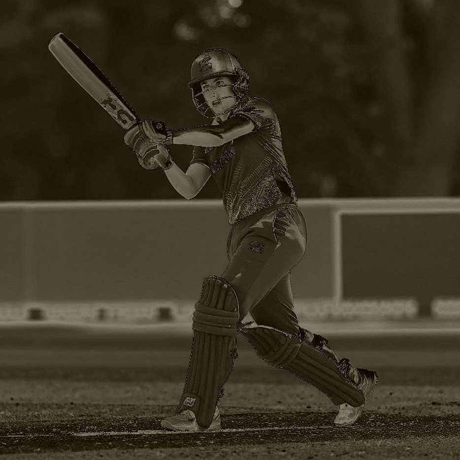 Empty Input, Full Framework: The Silent Failure of a Cricket Analysis Pipeline